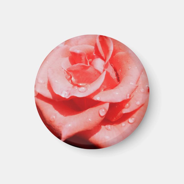 Antike Rosen Magnet (Vorne)
