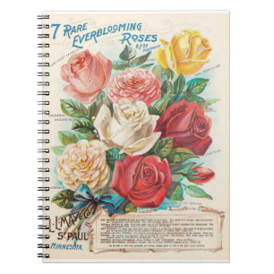 Antike Rosen Retro-Werbung Notizblock