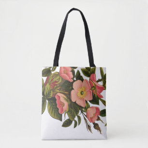 Antike Rosen Schönes Rosa Botanisch