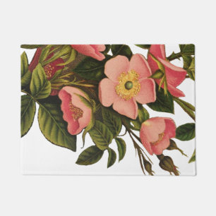Antike Rosen Schönes Rosa Botanisch Fußmatte