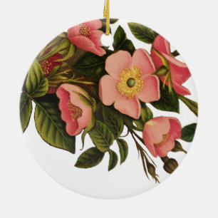 Antike Rosen Schönes Rosa Botanisch Keramik Ornament