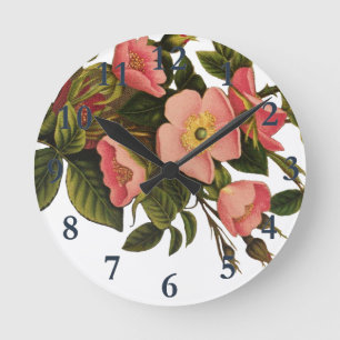 Antike Rosen Schönes Rosa Botanisch Runde Wanduhr