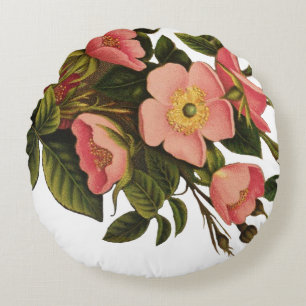 Antike Rosen Schönes Rosa Botanisch Rundes Kissen