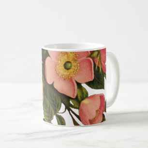 Antike Rosen Schönes Rosa Botanisch Tasse