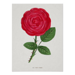 Antike Rosenlithografie, François-Frédéric Grobon Poster