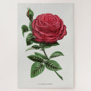 Antike Rosenlithografie, François-Frédéric Grobon Puzzle