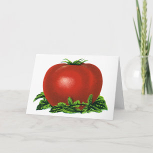 Antike rote reife Tomate, Gemüse und Früchte Karte