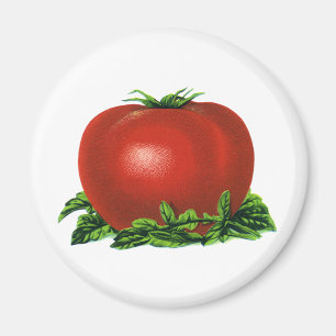 Antike rote reife Tomate, Gemüse und Früchte Magnet