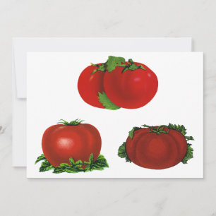 Antike rote reife Tomaten Lebensmittel, Obst, Gemü