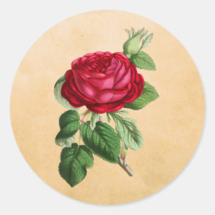 Antike rote Rose auf einem falschen braunen Lederh Runder Aufkleber