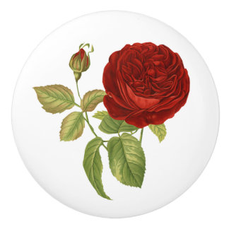 Antike rote Rose Botanisch Keramikknauf