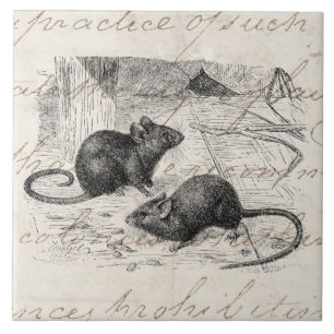Antike Scheunenmaus 1800er Jahre Retro Mäuse Perga Fliese