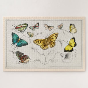 Antike Schmetterlinge Illustration zu Goldsmith II Puzzle