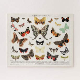Antike Schmetterlinge und Moths Illustration Insek Puzzle