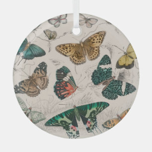 Antike Schmetterlingsillustration: 1820 Goldschmie Ornament Aus Glas