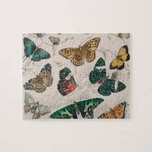 Antike Schmetterlingsillustration: 1820 Goldschmie Puzzle