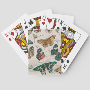 Antike Schmetterlingsillustration: 1820 Goldschmie Spielkarten