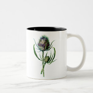 Antike Schottische Distel Wilde Blume Vintage 1902 Zweifarbige Tasse