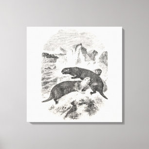 Antike Seeotter 1800er Otter-Illustration Leinwanddruck