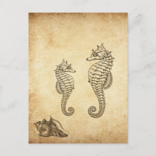 Antike Seepferdchen und Conch-Schneckenstrand Postkarte