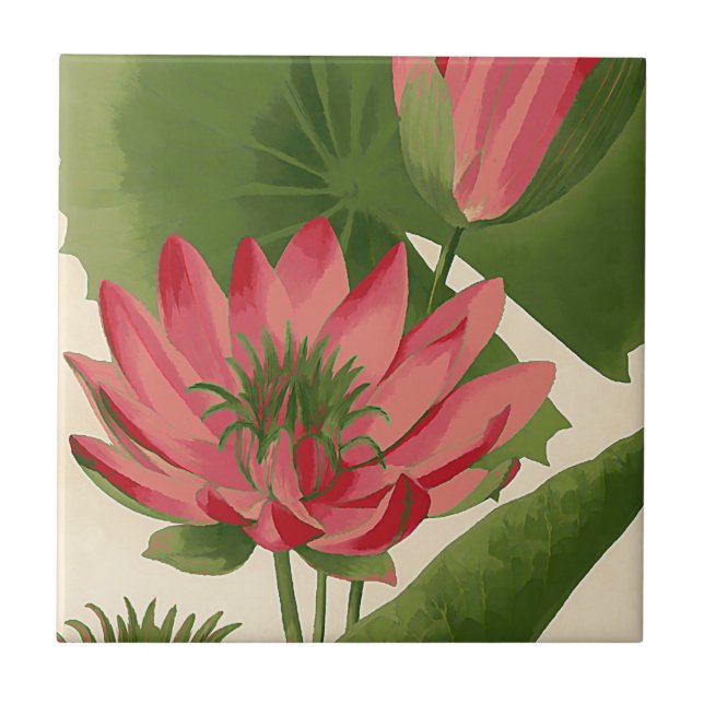 Antike Seerose Fliese (Vorderseite)