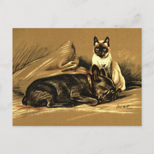 Antike Siamkatze und Französische Bulldogge Postkarte