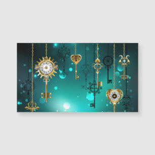 Antike Skeleton Keys on Green Background Magnetkarte