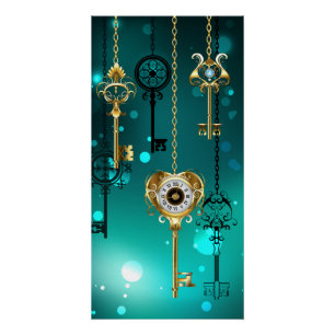 Antike Skeleton Keys on Green Background Poster