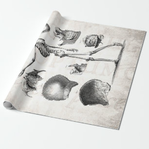 Antike Skelett-Anatomie-Skelette aus dem 19. Jahrh Geschenkpapier