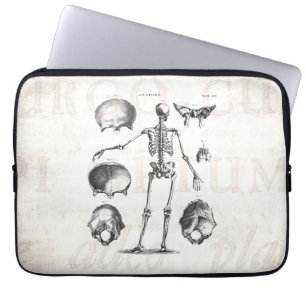 Antike Skelette Anatomie Skelette aus dem 19. Jahr Laptopschutzhülle