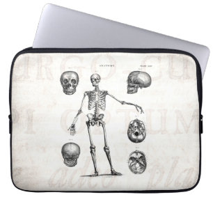 Antike Skelette Anatomie Skelette aus dem 19. Jahr Laptopschutzhülle