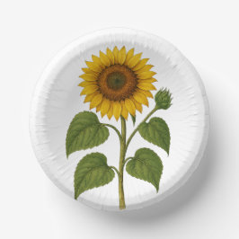 Antike Sonnenblume Pappteller