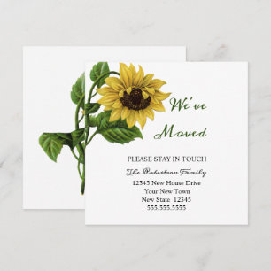 Antike Sonnenblume Wir Ziehen Um Neue Adresse Karte