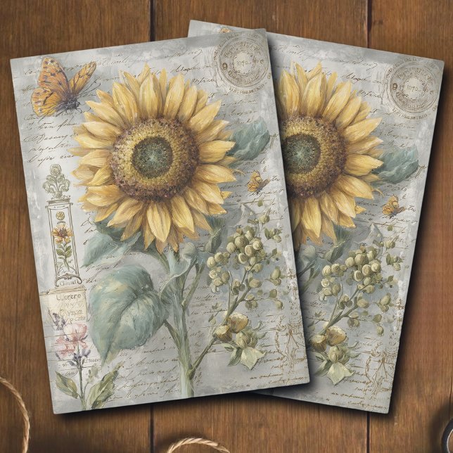 Antike Sonnenblumen-Botanik-Ephemera-Decoupage Seidenpapier (Von Creator hochgeladen)