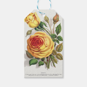 Antike Sonnenuntergangs-Rose Gelb & Orange Botanis Geschenkanhänger
