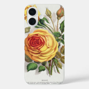 Antike Sonnenuntergangsrose Gelb & Orange Botanisc iPhone 16 Hülle
