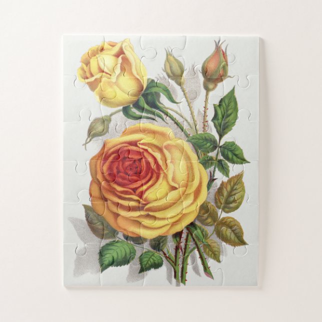 Antike Sonnenuntergangsrose Gelb & Orange Botanisc Puzzle (Vertikal)