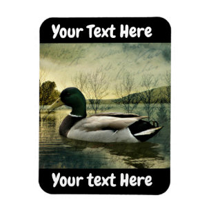 Antike Stockente verwitterte Postkarte Magnet