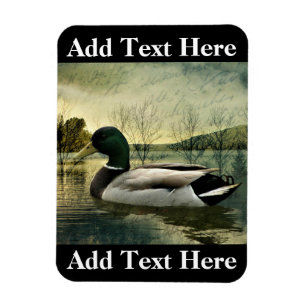 Antike Stockente verwitterte Postkarte Magnet