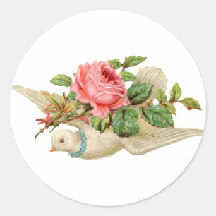 Antike Taube und Rose Runder Aufkleber