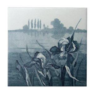 Antike Transferware der Wiedergabe-VT0065 Fliese