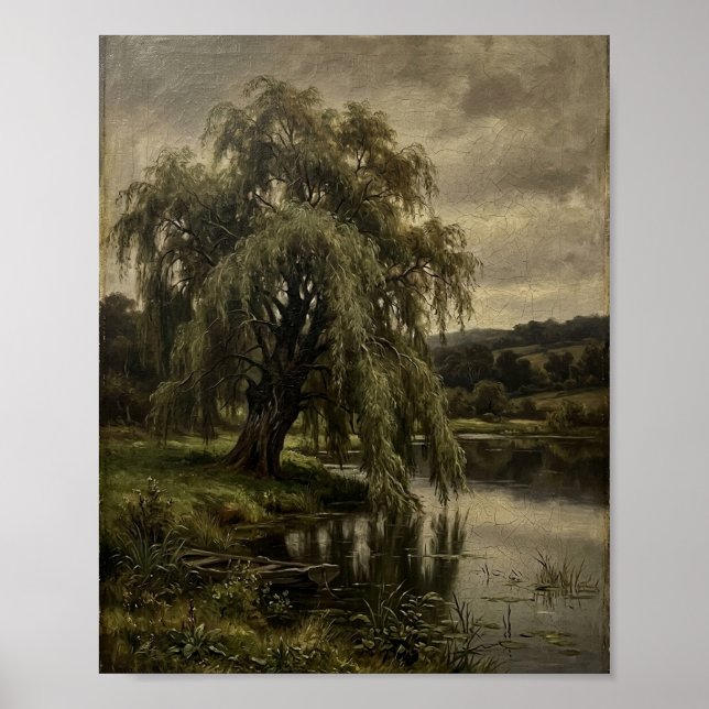 Antike Trauerweide Botanisch I Poster (Vorne)