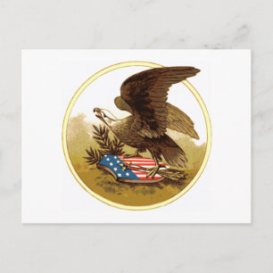 Antike US-amerikanische Adler-Postkarte Postkarte