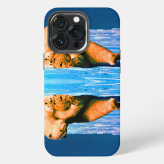 Antike USA Alaska Mutter Eisbär iPhone 13 Pro Hülle