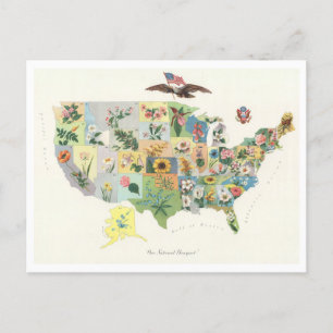 Antike USA-Staat-Blumenkarte von 1911 Postkarte