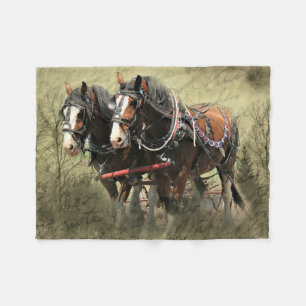 Antike verwitterte Clydesdale-Postkarte Fleecedecke