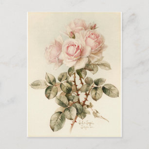 Antike viktorianisch romantische Rosen Postkarte