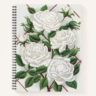 Antike viktorianische weiße Kletterrosen Garten Notizbuch