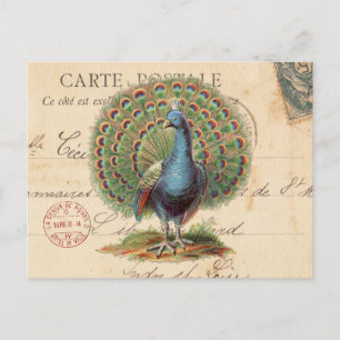 Antike Vintage-Pfau-Postkarte Postkarte