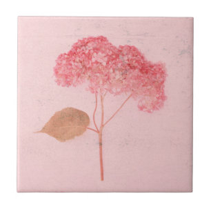 Antike Vintage-Rosa-Hortensie, ländliches Floral Fliese